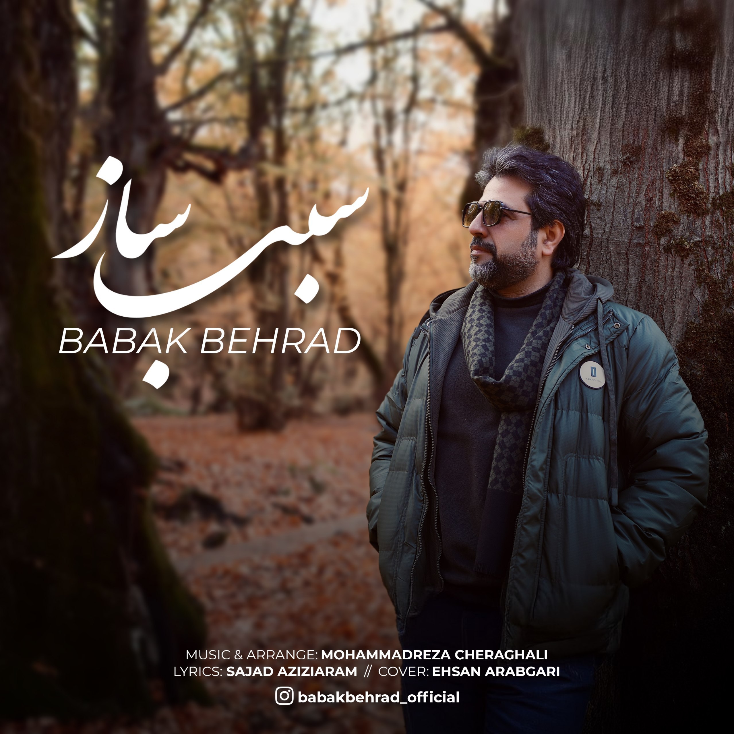 بابک بهراد - سبب ساز